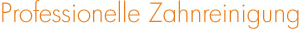 Professionelle Zahnreinigung