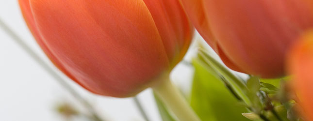 Vollnarkose - Sanal Schmidt, Zahn&auml;rzte, M&ouml;rfelden-Walldorf